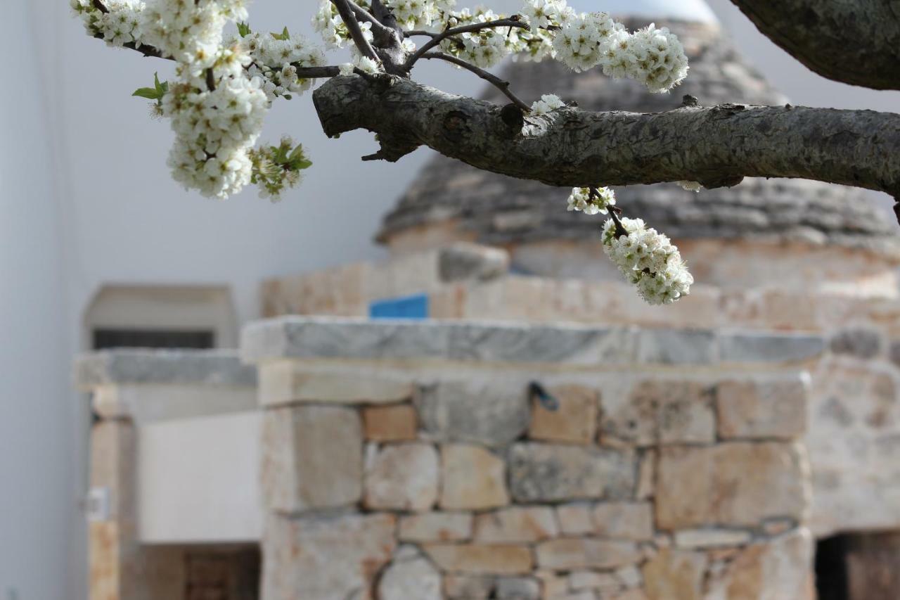 Dimore Miravalle Martina Franca Eksteriør billede